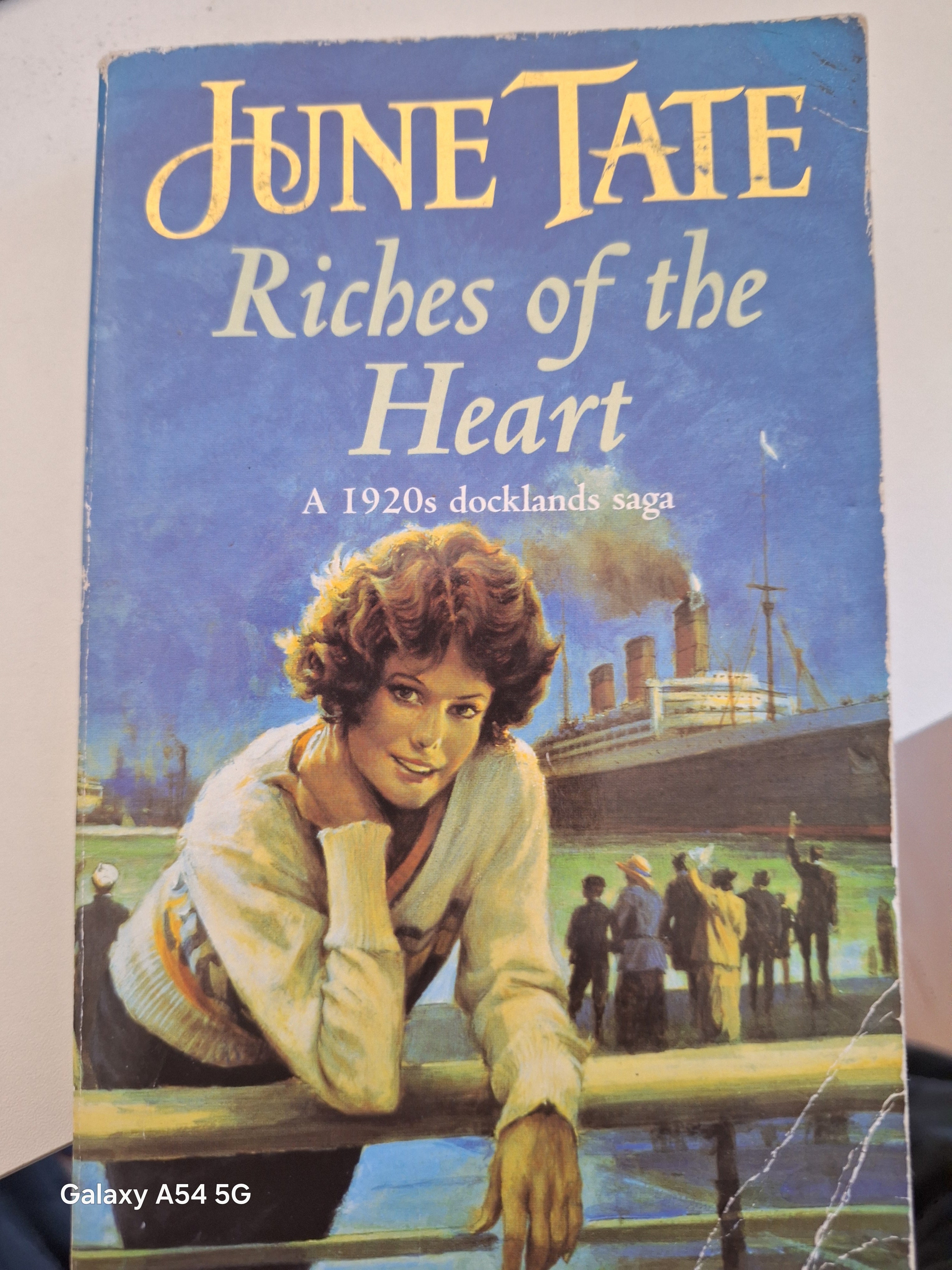 June Tate Riches of the Heart book cover featuring a woman by a dock with a steamboat background