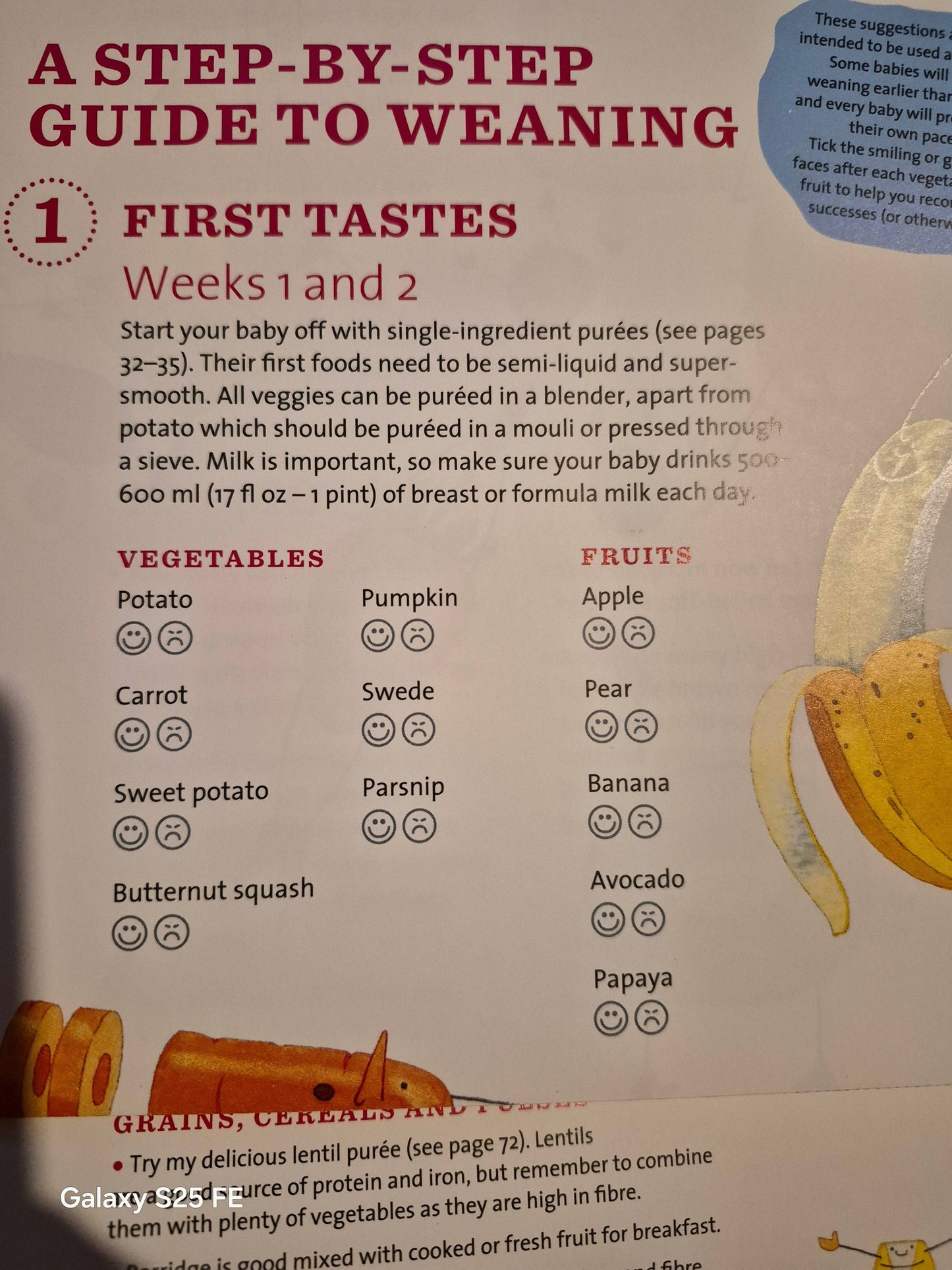 Complete Baby & Toddler meal planner by Annabel Karmel