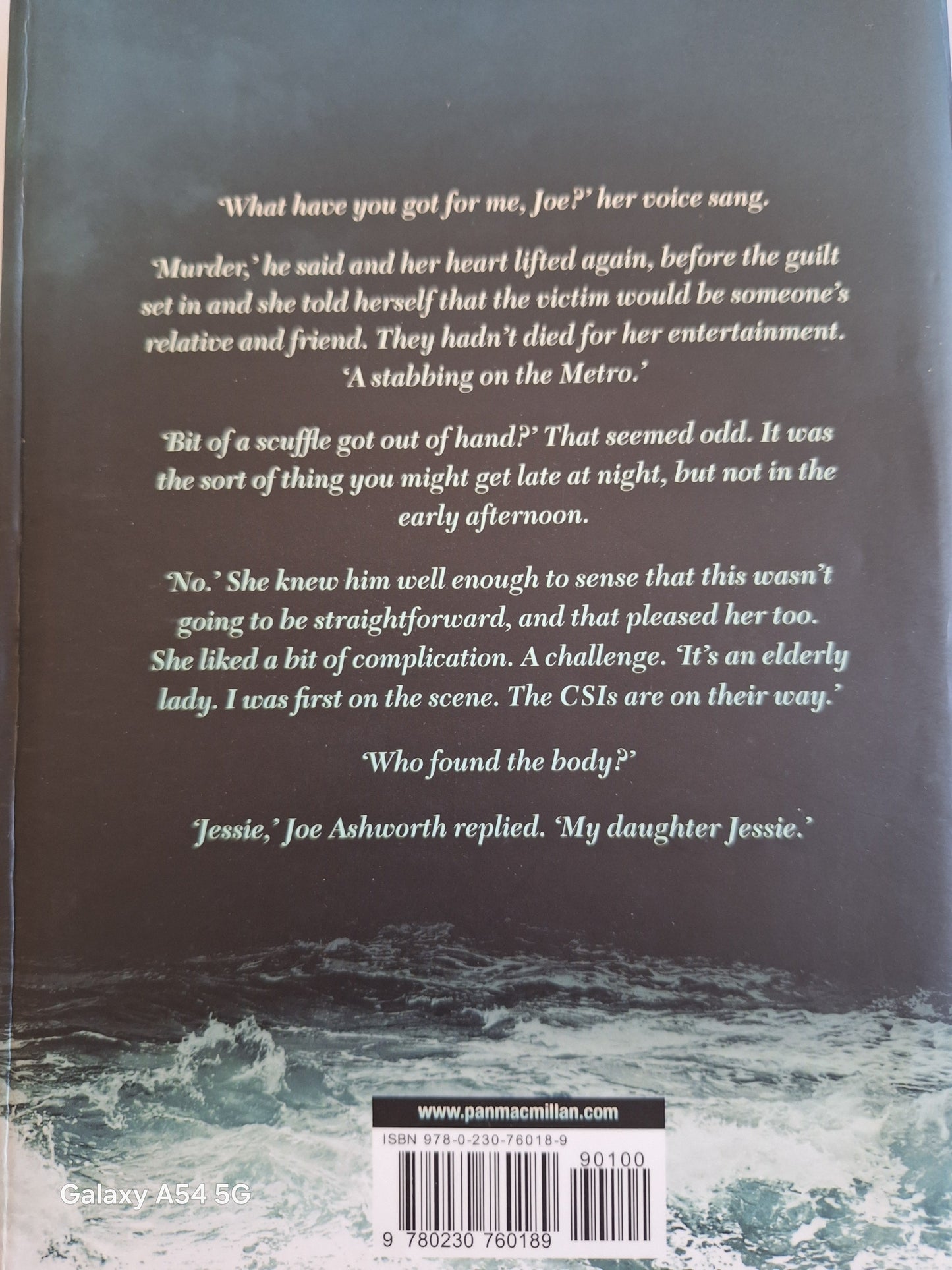 Back cover of Harbour Street Ann Cleeves book featuring a suspenseful scene and ocean background