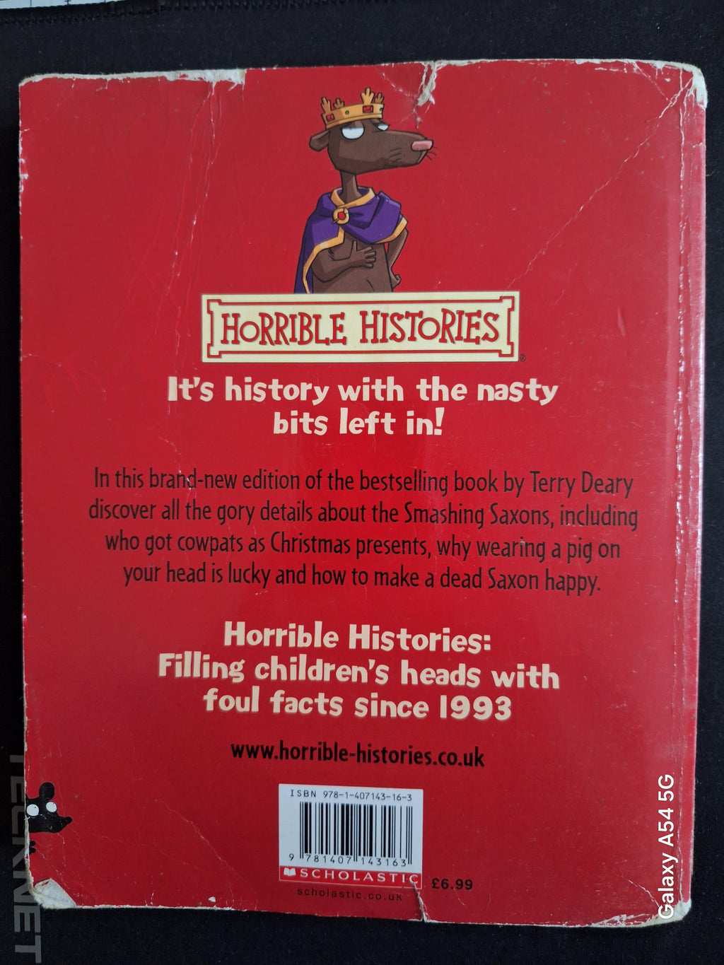 Back cover of Horrible Histories Smashing Saxons book by Terry Deary with red background and cartoon character