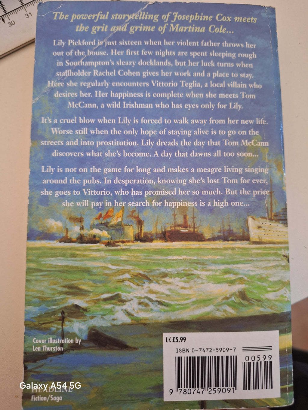 Riches of the Heart June Tate book cover featuring a scenic background and a brief description of the story