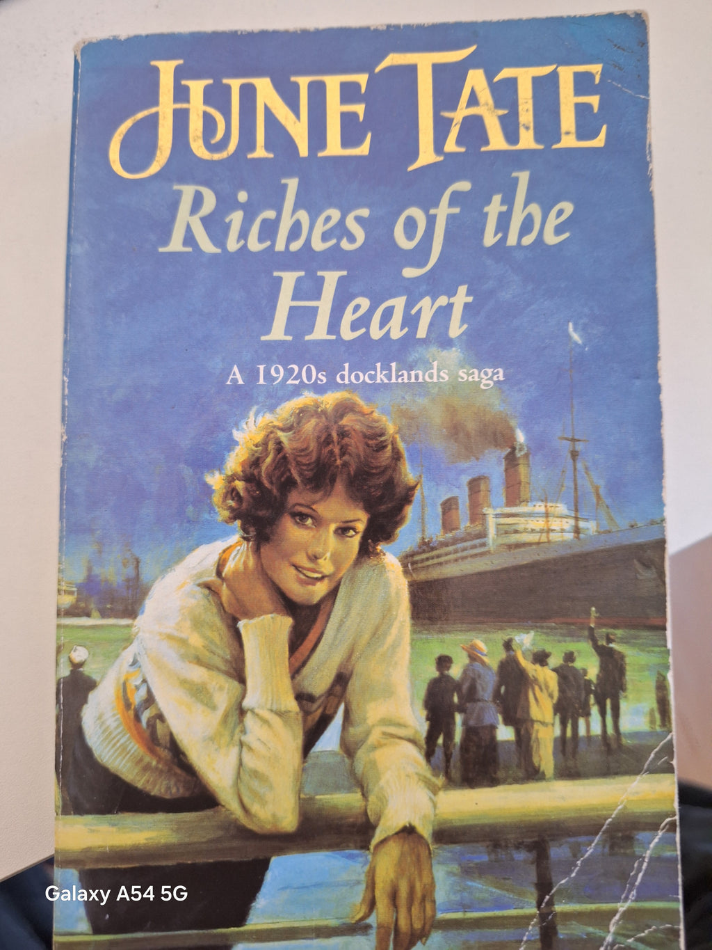 June Tate Riches of the Heart book cover featuring a woman by a dock with a steamboat background