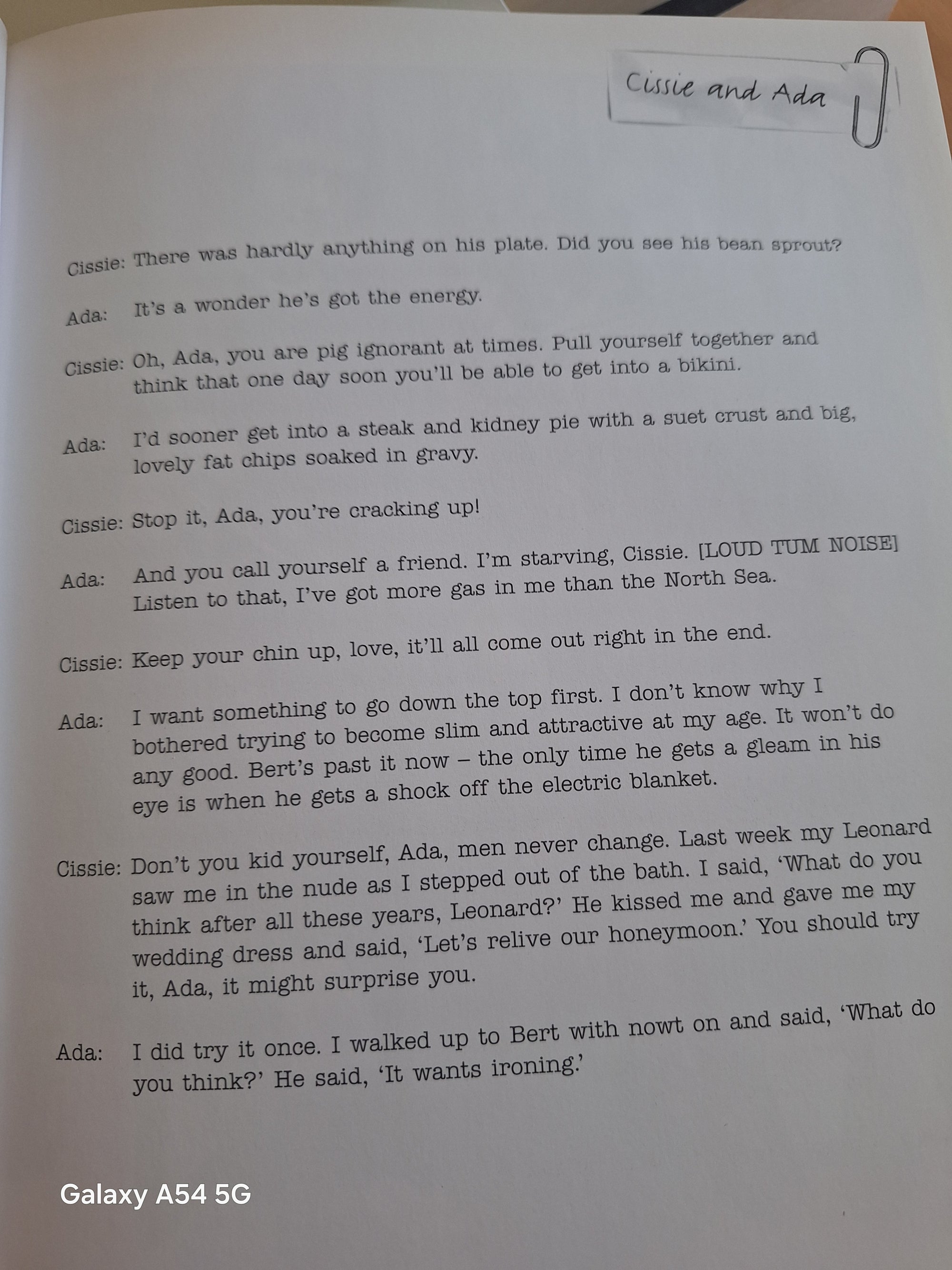 Les Dawson Secret Notebooks book with dialogue between characters Cassie and Ada