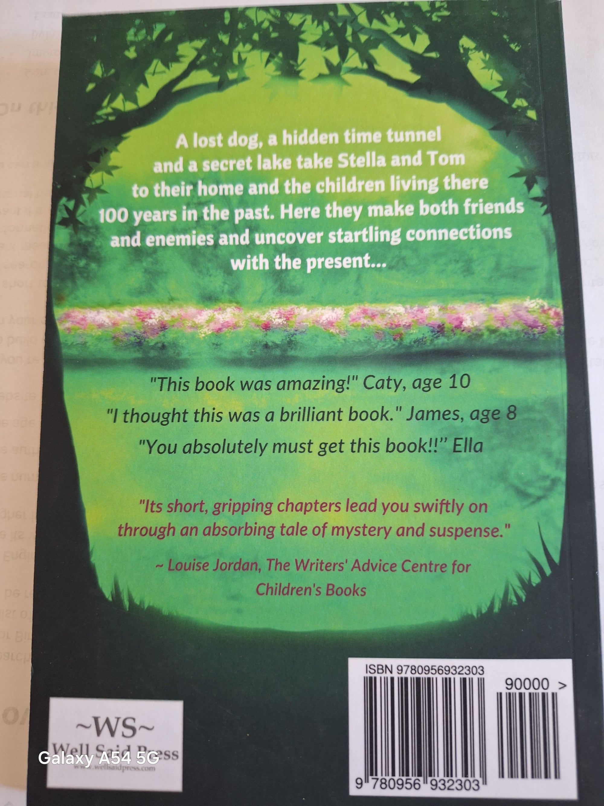 Back cover of The Secret Lake Karen Inglis featuring reviews and a captivating synopsis of the story